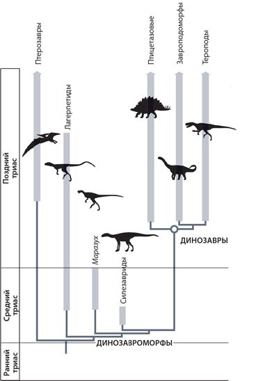 Динозавры. 150 000 000 лет господства на Земле