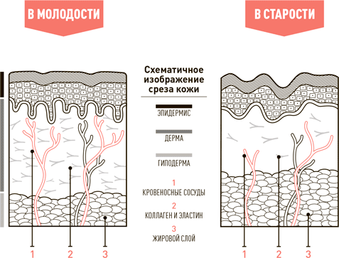Проект Better Man: 2476 способов прокачать здоровье, форму, карьеру и секс