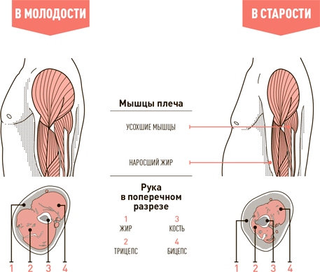 Проект Better Man: 2476 способов прокачать здоровье, форму, карьеру и секс