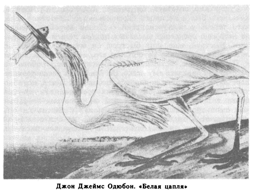 Золотой дождь (рассказы)