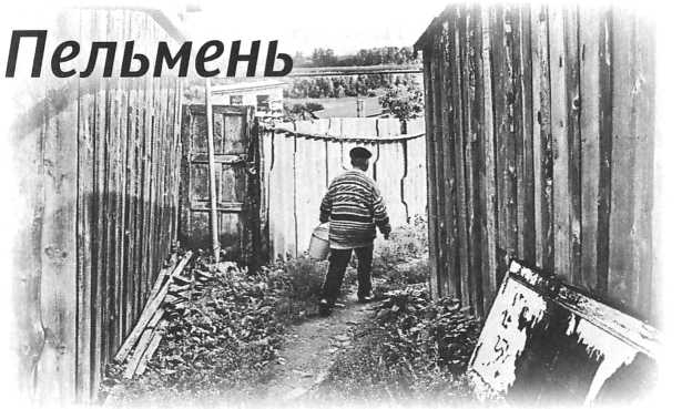 Сашина философия и другие рассказы