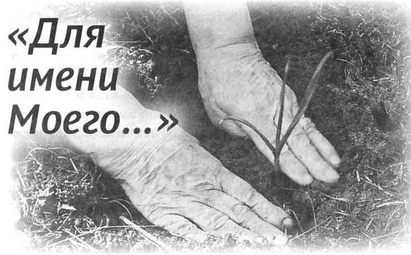 Сашина философия и другие рассказы