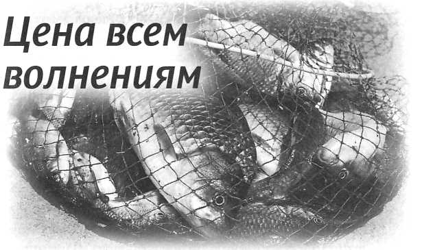 Сашина философия и другие рассказы