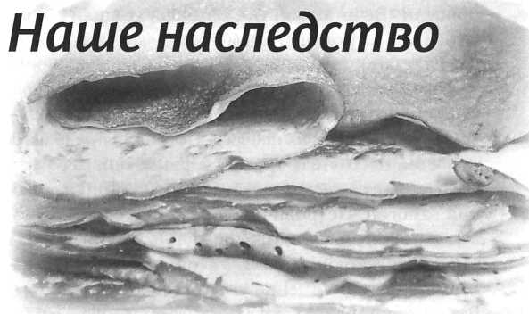 Сашина философия и другие рассказы