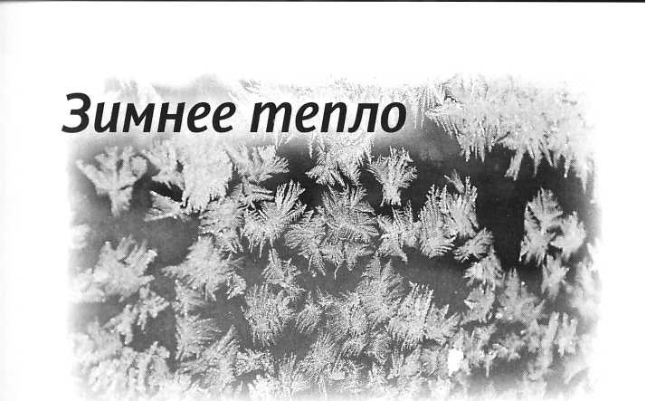 Сашина философия и другие рассказы