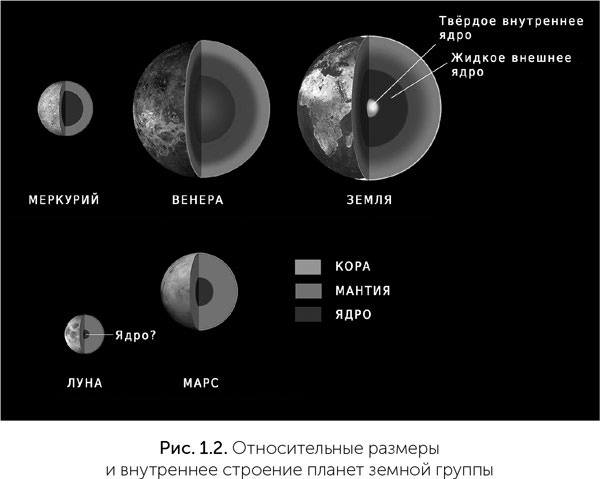 Происхождение жизни