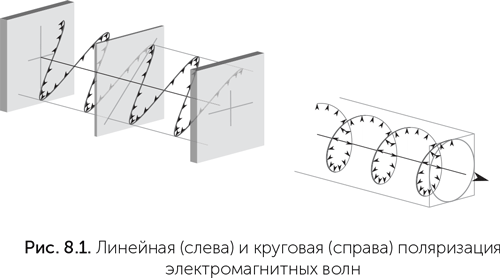 Происхождение жизни