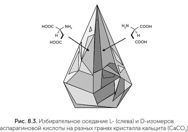 Происхождение жизни