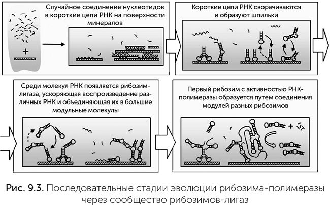Происхождение жизни