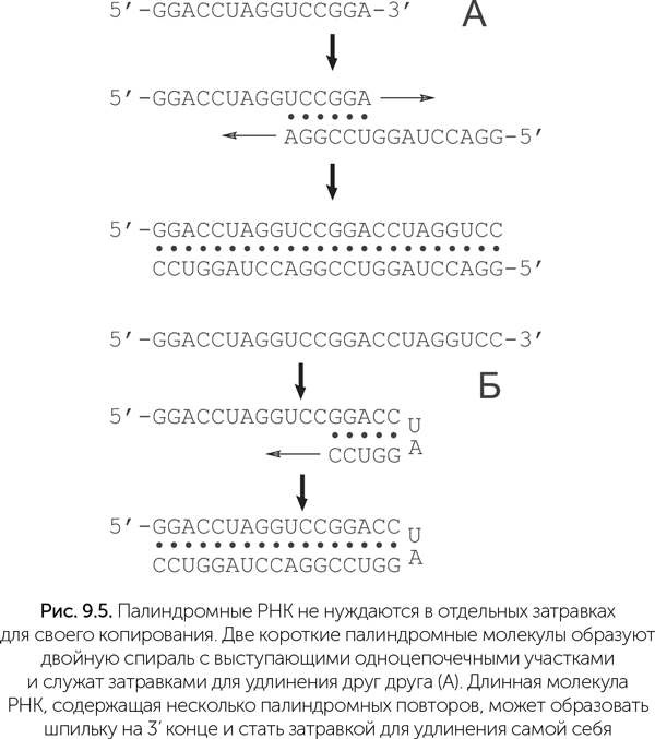 Происхождение жизни