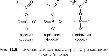 Происхождение жизни