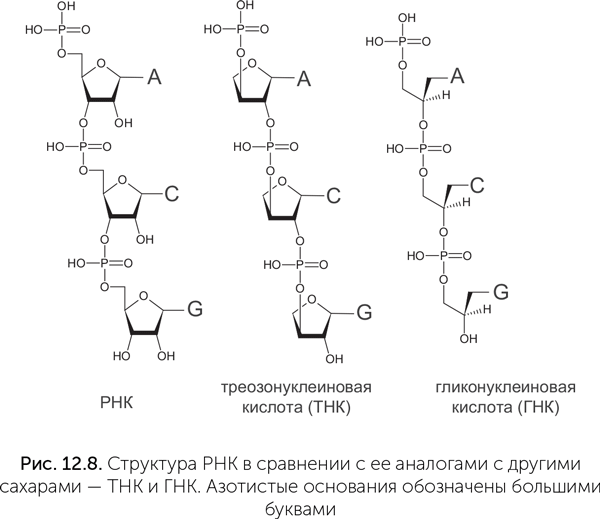 Происхождение жизни
