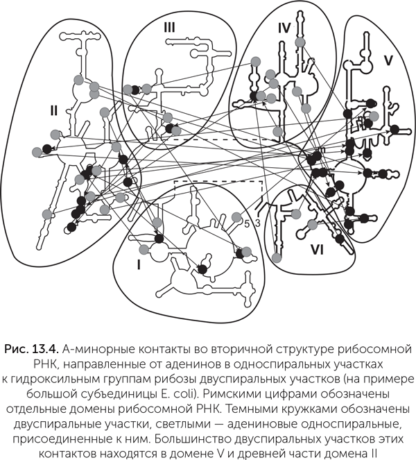 Происхождение жизни