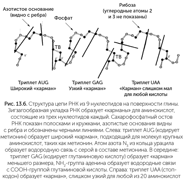 Происхождение жизни