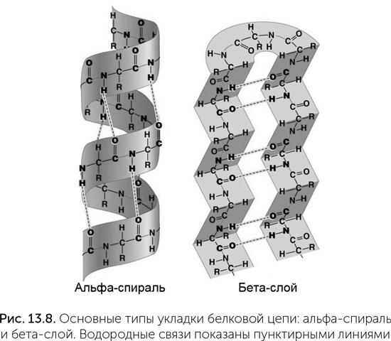 Происхождение жизни