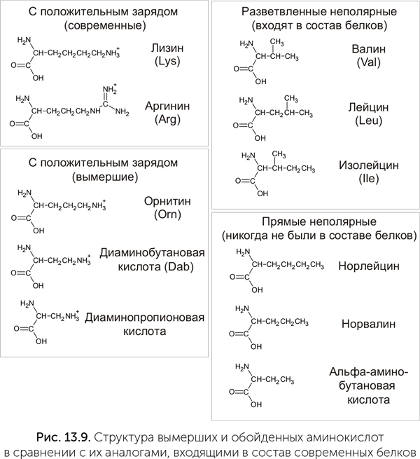 Происхождение жизни