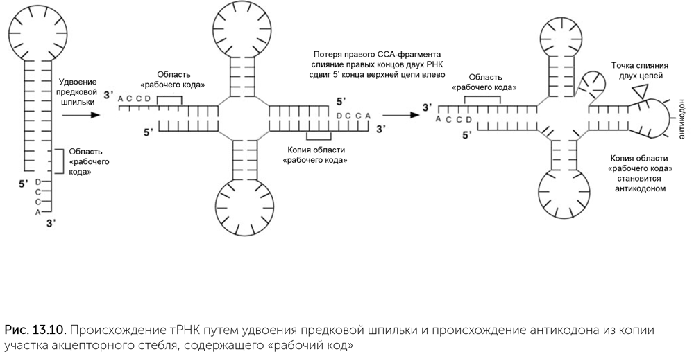 Происхождение жизни