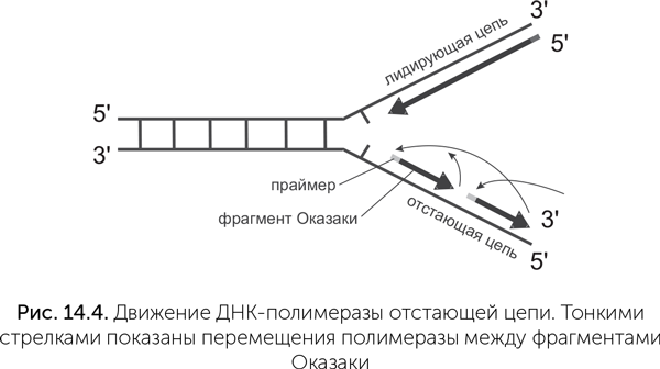 Происхождение жизни