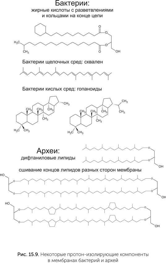 Происхождение жизни