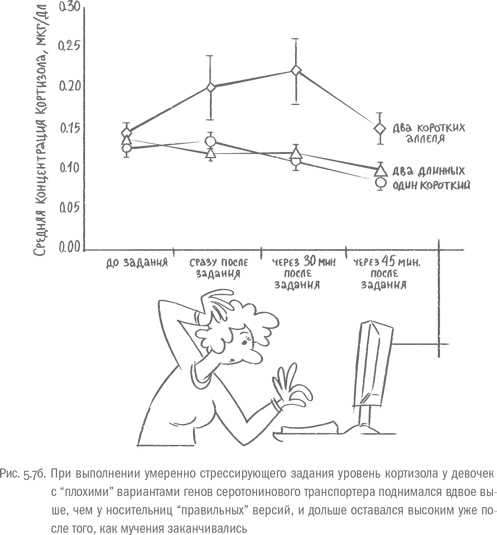 Воля и самоконтроль. Как гены и мозг мешают нам бороться с соблазнами
