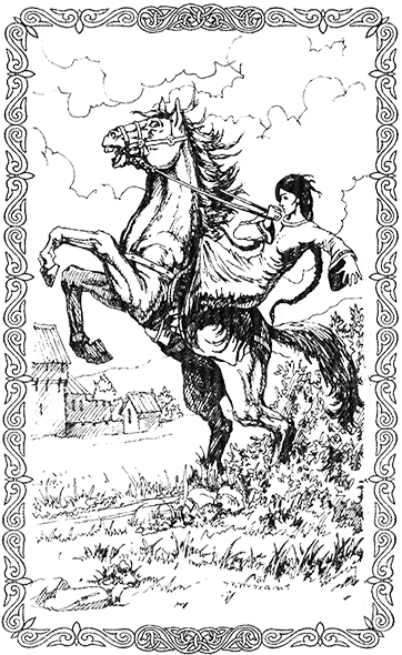Мой любимый крестоносец. Фея тумана
