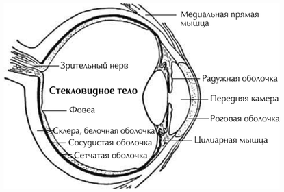 Даосские практики улучшения зрения