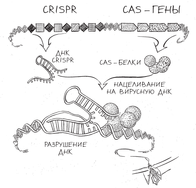 Трещина в мироздании