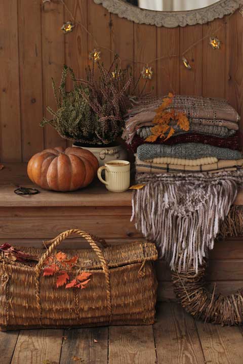 Cozy. Искусство всегда и везде чувствовать себя уютно