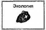 Гипноз. Практическое руководство