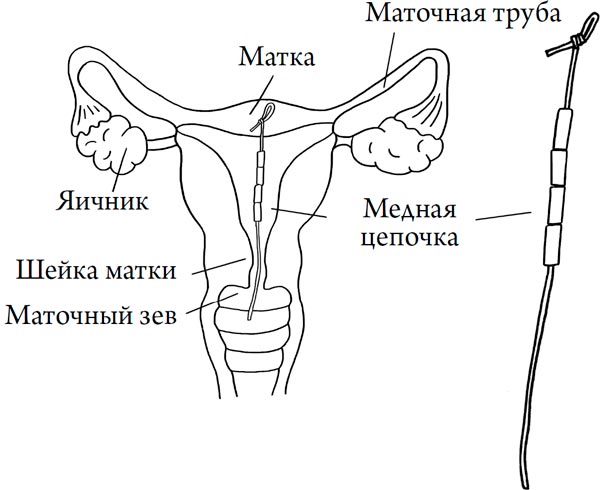 Человек Противный. Зачем нашему безупречному телу столько несовершенств