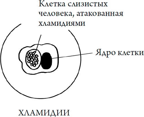 Человек Противный. Зачем нашему безупречному телу столько несовершенств