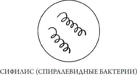 Человек Противный. Зачем нашему безупречному телу столько несовершенств