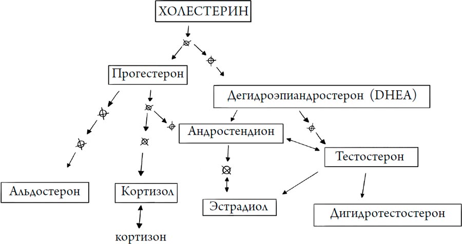 Человек Противный. Зачем нашему безупречному телу столько несовершенств