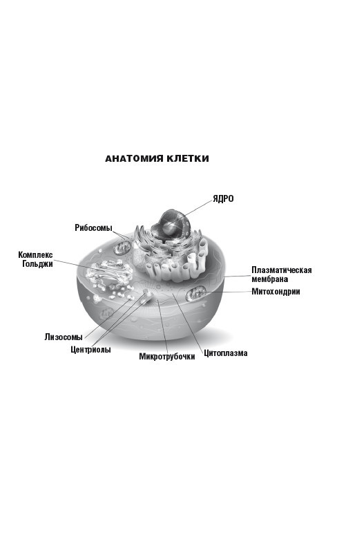 99 секретов науки