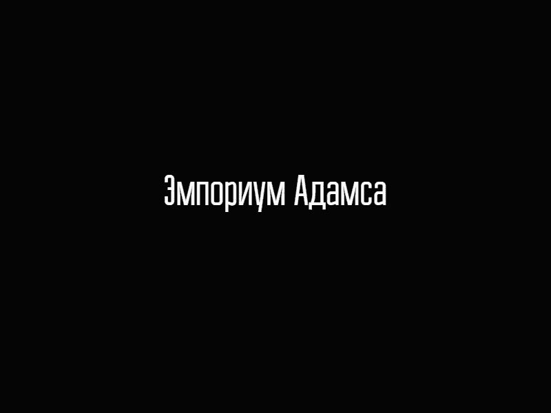 Универсальный саквояж миссис Фокс