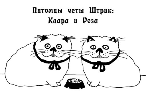 Снежный ком