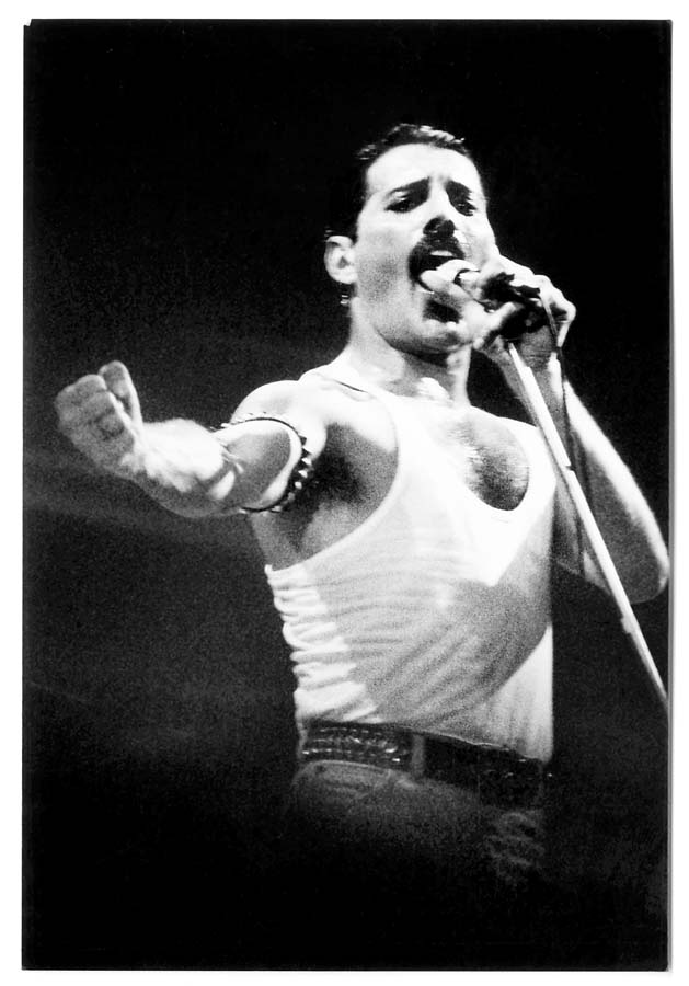 Queen. Все тайны Фредди Меркьюри и легендарной группы