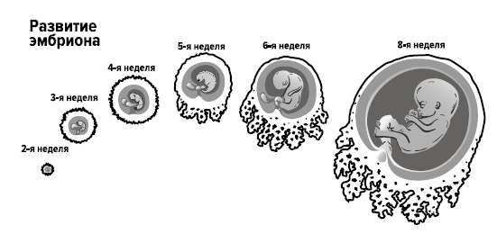 Четвертая мировая война. Будущее уже рядом