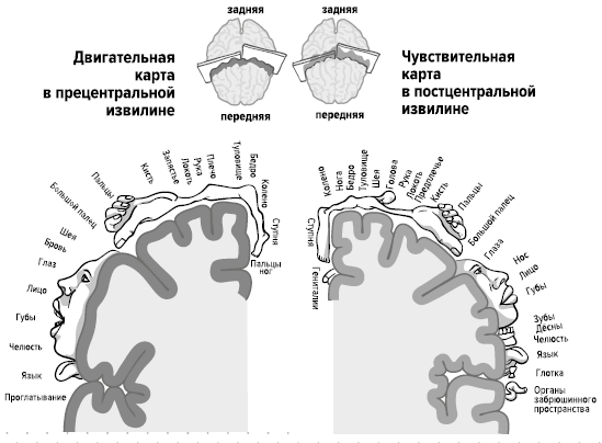 Четвертая мировая война. Будущее уже рядом
