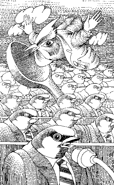 Хвост павлина (сборник)