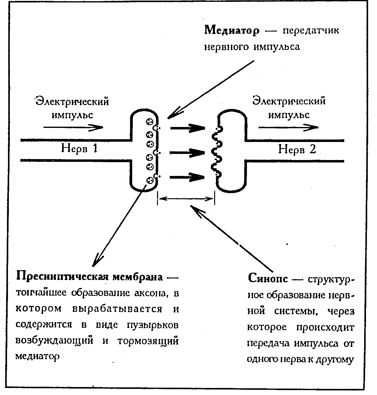 Хорошее самочувствие