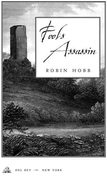 Fool's Assassin