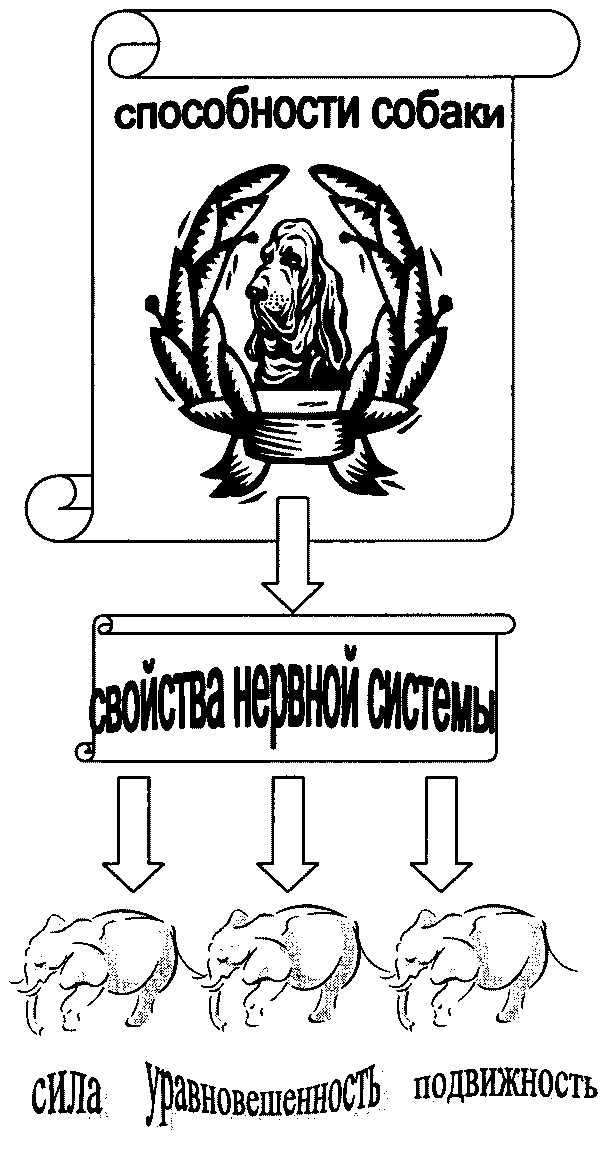 Понять друга. Записки инструктора
