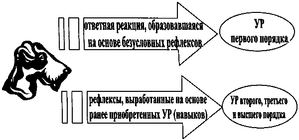 Понять друга. Записки инструктора