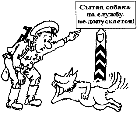Понять друга. Записки инструктора