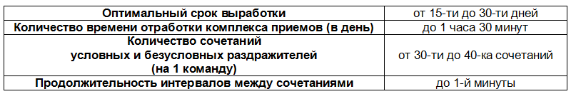 Понять друга. Записки инструктора