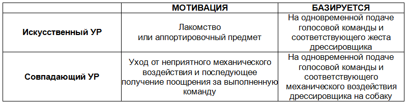 Понять друга. Записки инструктора