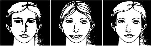 семь грехов памяти. семь грехов памяти. семь грехов памяти. семь грехов памяти книга. книга семь грехов памяти дэниела шахтера.