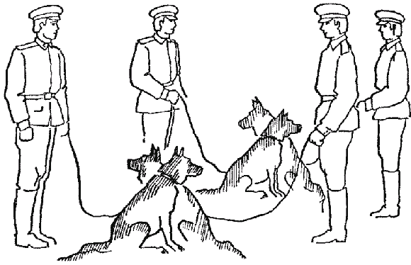 Дрессировка служебных собак