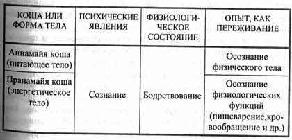 Йога Нидра